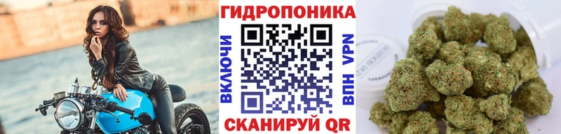 купить  сайты  Нурлат  omg зеркало  Каннабис планчик 